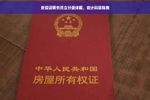 资信证明书开立分录详解，会计科目指南