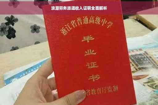 浪潮劳务派遣收入证明全面解析