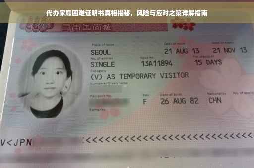 代办家庭困难证明书真相揭秘，风险与应对之策详解指南
