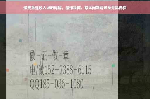 缴费系统收入证明详解，操作指南、常见问题解答及开具流程