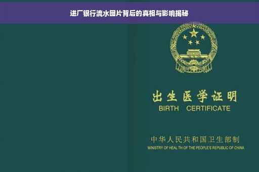 进厂银行流水图片背后的真相与影响揭秘