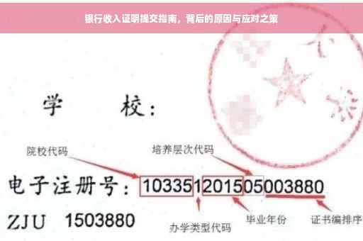 银行收入证明提交指南，背后的原因与应对之策