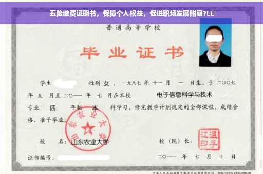 五险缴费证明书，保障个人权益，促进职场发展附图?⚡️