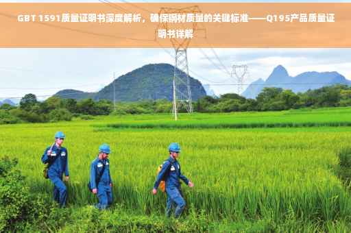 GBT 1591质量证明书深度解析，确保钢材质量的关键标准——Q195产品质量证明书详解