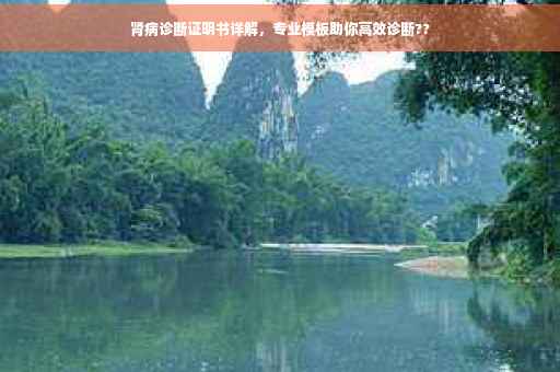肾病诊断证明书详解，专业模板助你高效诊断??