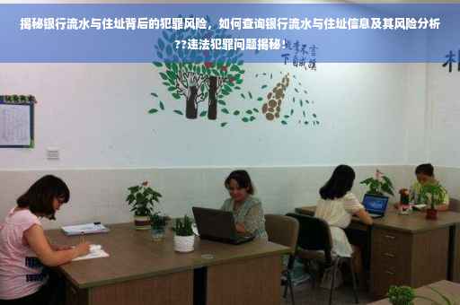 揭秘银行流水与住址背后的犯罪风险，如何查询银行流水与住址信息及其风险分析??违法犯罪问题揭秘！