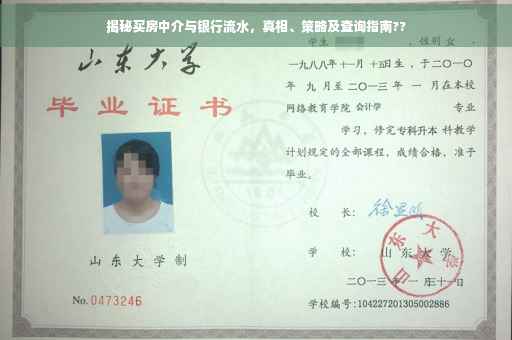 揭秘买房中介与银行流水，真相、策略及查询指南??