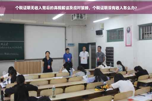 个税证明无收入背后的真相解读及应对策略，个税证明没有收入怎么办？