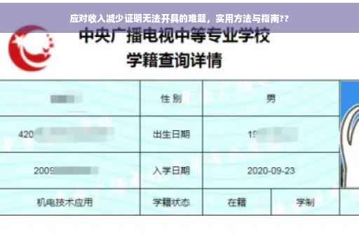 应对收入减少证明无法开具的难题，实用方法与指南??