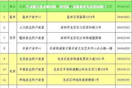 宁波银行流水单详解，验证码、深度解析与实用指南??
