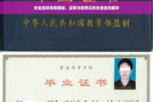 资金流转真相揭秘，证明书收悉后的资金流向解析
