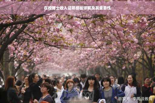 在校博士收入证明模板详解及其重要性
