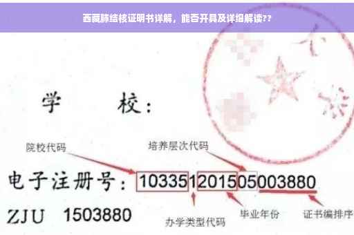 西藏肺结核证明书详解，能否开具及详细解读??