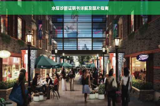 水痘诊断证明书详解及图片指南