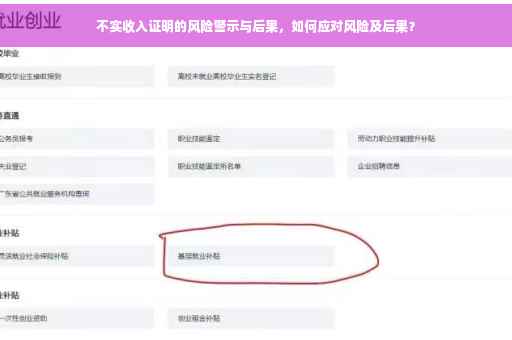 不实收入证明的风险警示与后果，如何应对风险及后果？