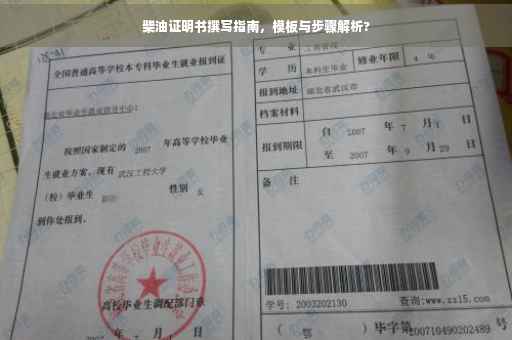 柴油证明书撰写指南，模板与步骤解析?