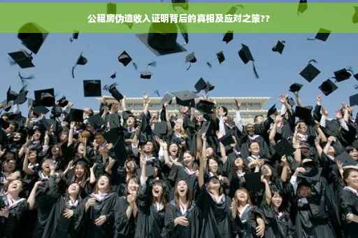 公租房伪造收入证明背后的真相及应对之策??