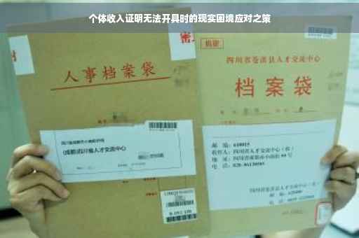 个体收入证明无法开具时的现实困境应对之策
