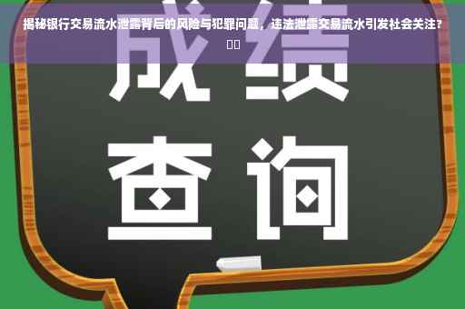 揭秘银行交易流水泄露背后的风险与犯罪问题，违法泄露交易流水引发社会关注?⚡️