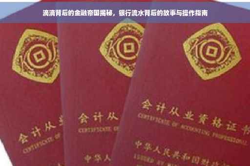 滴滴背后的金融帝国揭秘，银行流水背后的故事与操作指南