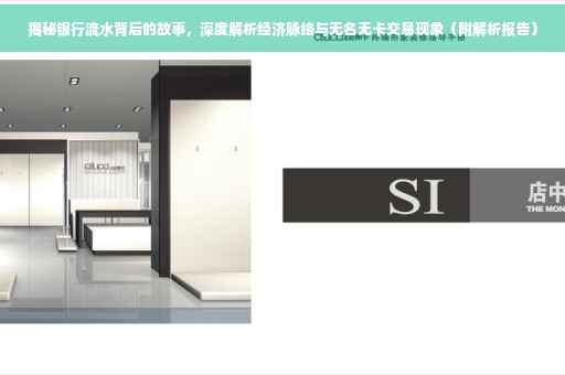揭秘银行流水背后的故事，深度解析经济脉络与无名无卡交易现象（附解析报告）