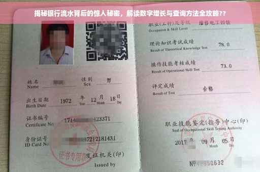 揭秘银行流水背后的惊人秘密，解读数字增长与查询方法全攻略??
