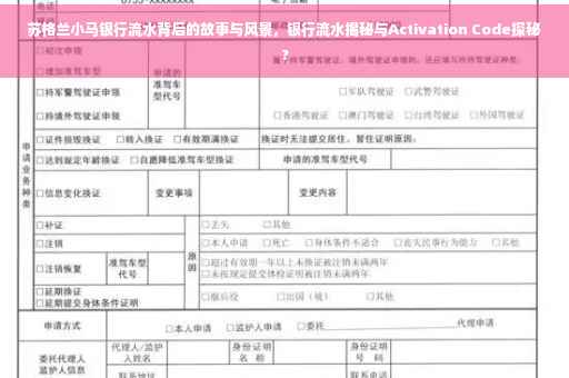 苏格兰小马银行流水背后的故事与风景，银行流水揭秘与Activation Code探秘?