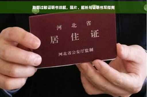 脸部过敏证明书详解，图片、解析与证明书写指南