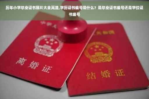 历年小学毕业证书图片大全高清,学历证书编号是什么？是毕业证书编号还是学位证书编号