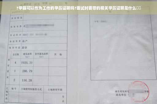?学籍可以作为工作的学历证明吗?面试时要带的相关学历证明是什么⚡️