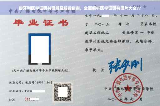 匈牙利医学证明书图解及解读指南，全面解析医学证明书图片大全??