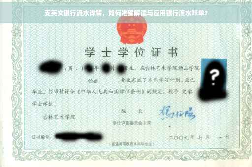 支英文银行流水详解，如何准确解读与应用银行流水账单？