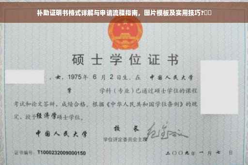 补助证明书格式详解与申请流程指南，图片模板及实用技巧?⚡️