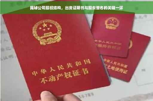 揭秘公司股权结构，出资证明书与股东签名的关键一环