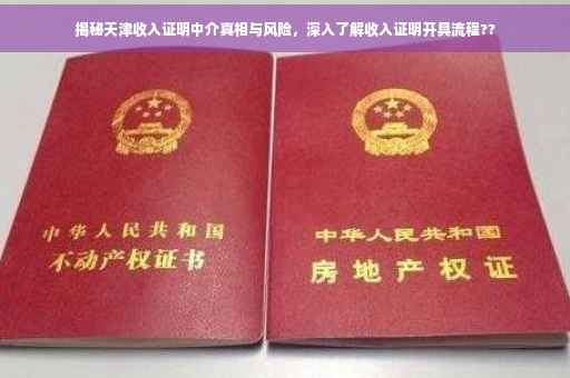 揭秘天津收入证明中介真相与风险，深入了解收入证明开具流程??
