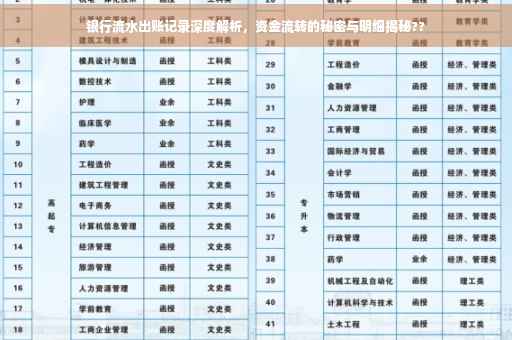 银行流水出账记录深度解析，资金流转的秘密与明细揭秘??