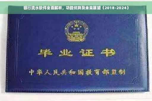 银行流水软件全面解析，功能优势及未来展望（2018-2024）