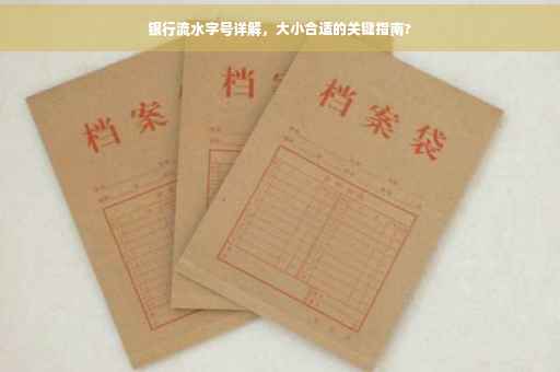 银行流水字号详解，大小合适的关键指南?