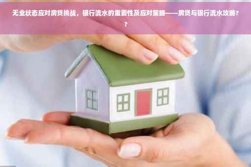 无业状态应对房贷挑战，银行流水的重要性及应对策略——房贷与银行流水攻略??