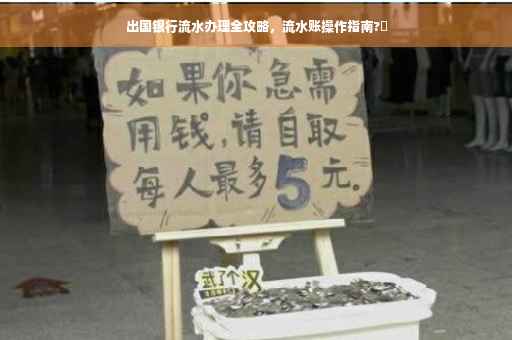 出国银行流水办理全攻略，流水账操作指南?✨