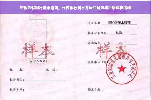 警惕虚假银行流水陷阱，代做银行流水背后的风险与犯罪真相揭秘