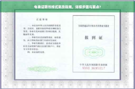 电表证明书格式更改指南，详细步骤与要点?
