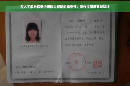 深入了解社保缴纳与收入证明的重要性，操作指南与背景解析