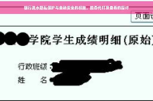 银行流水隐私保护与金融安全的权衡，能否代打及查看的探讨