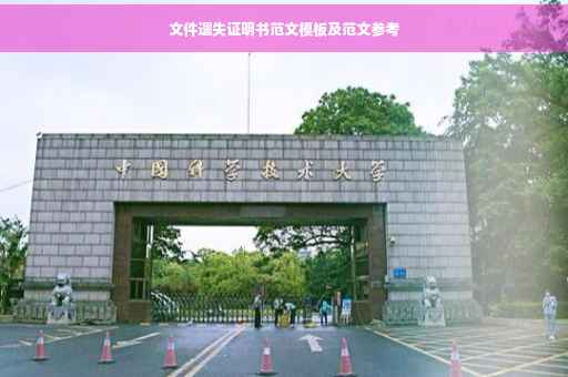 文件遗失证明书范文模板及范文参考