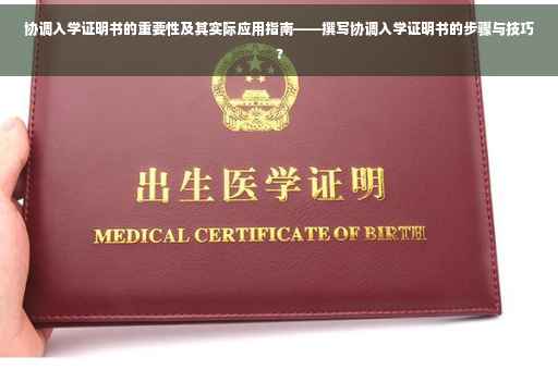 协调入学证明书的重要性及其实际应用指南——撰写协调入学证明书的步骤与技巧?