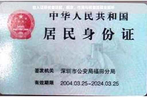 收入证明核查详解，概念、作用与核查流程全解析
