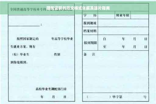 建筑证明书范文格式详解及图片指南