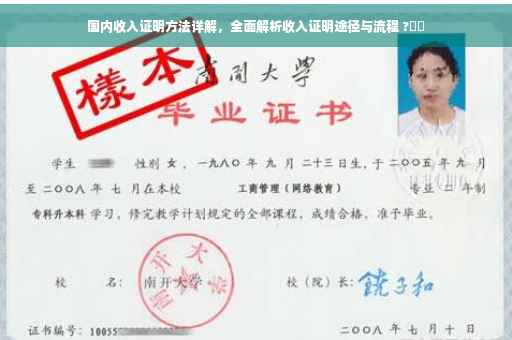 国内收入证明方法详解，全面解析收入证明途径与流程 ?⚡️