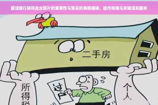 解读银行转账流水照片的重要性与背后的真相揭秘，操作指南与关键信息解析